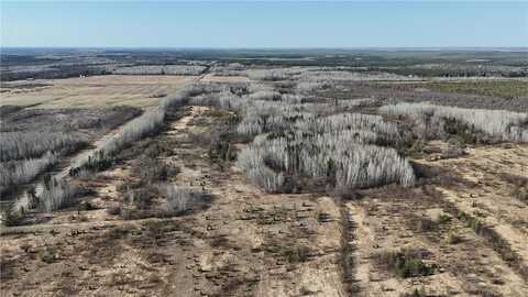 Tbd County Road 14, Littlefork, MN 56653