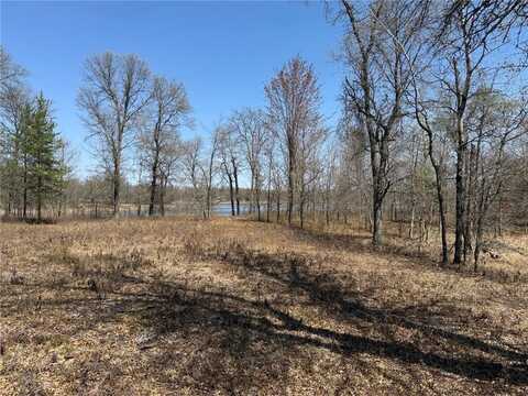 29941 N Bay Drive, Danbury, WI 54830