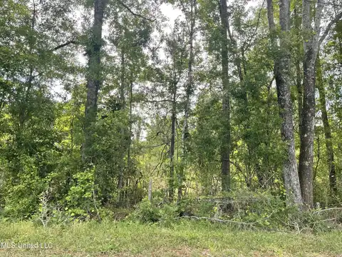 316 Thompson Hill Road, Mc Lain, MS 39456