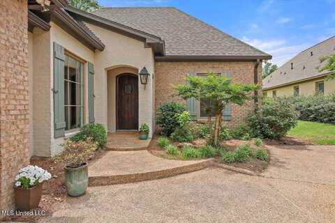 407 Belle Pointe Lane, Madison, MS 39110