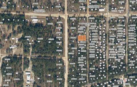 00 SW 59 AVENUE, INTERLACHEN, FL 32148