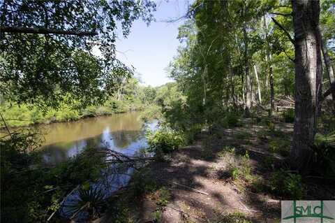 Lot 22 The River Landing Road, Midville, GA 30441