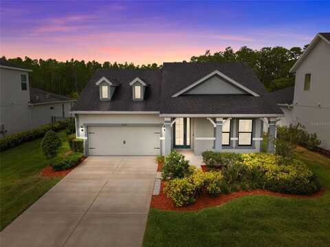 15170 AVILES PARKWAY, ODESSA, FL 33556