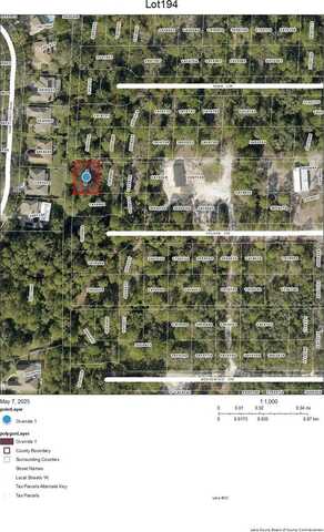 Lot 194 GOLDEN CIRCLE, MOUNT DORA, FL 32757