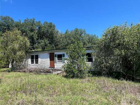 6200 CR 248N, LAKE PANASOFFKEE, FL 33538