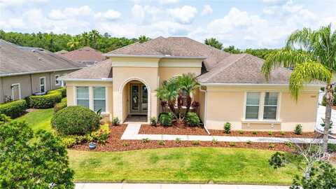3227 WATERMARK DRIVE, WESLEY CHAPEL, FL 33544