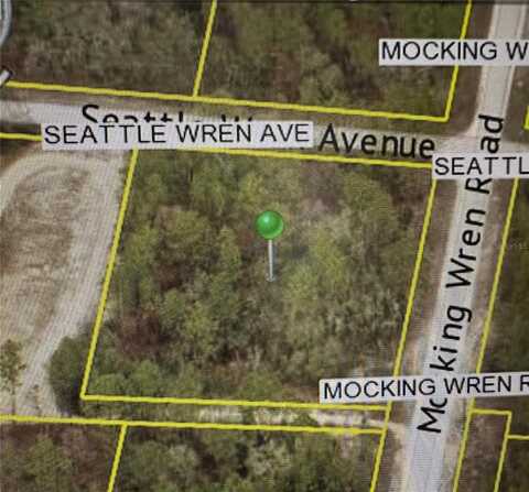 11288 SEATTLE WREN AVENUE, WEEKI WACHEE, FL 34614