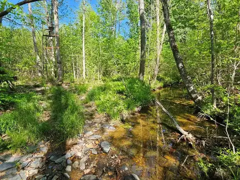 Andersonville Rd, Dillwyn, VA 23936