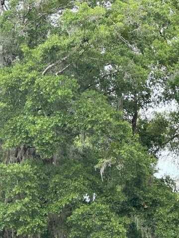 3406 SE 15TH AVENUE, GAINESVILLE, FL 32641