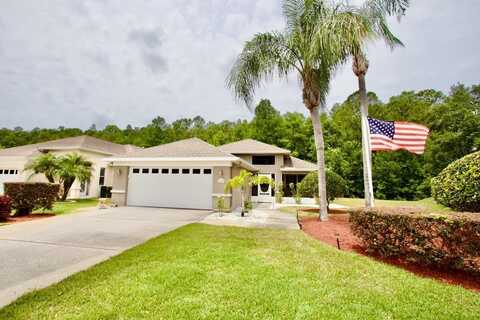 1723 CORTLEIGH DRIVE, TRINITY, FL 34655