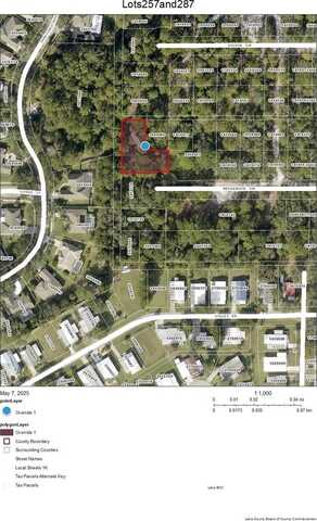 Lots 257 & 287 WEDGEWOOD CIRCLE, MOUNT DORA, FL 32757