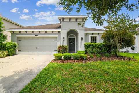 8228 SUNLIT HORIZON LANE, LAND O LAKES, FL 34637