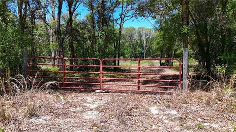 34281 UMBRELLA ROCK DRIVE, WEBSTER, FL 33597