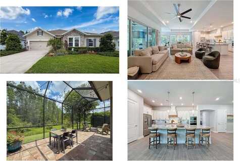 15355 RENAISSANCE AVENUE, ODESSA, FL 33556