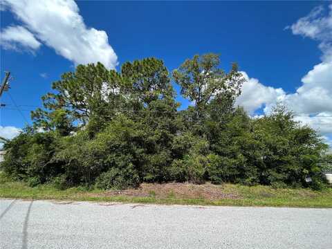Tbd SE 98TH COURT, SUMMERFIELD, FL 34491