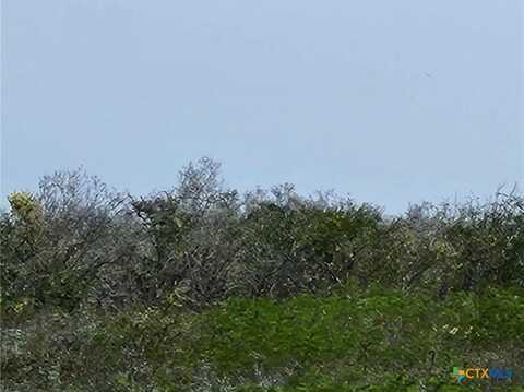 00 Live Oak Spur, George West, TX 78022
