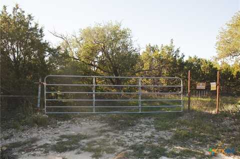 Tbd County Road 3900, Adamsville, TX 76550