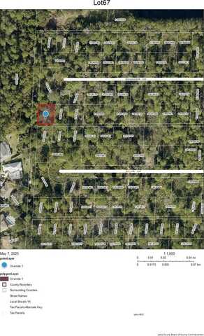 Lot 67 WOODHAVEN CIRCLE, MOUNT DORA, FL 32757