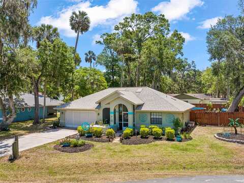 27 BLACK HAWK PLACE, PALM COAST, FL 32137