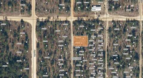 00 SW 59TH AVENUE, INTERLACHEN, FL 32148