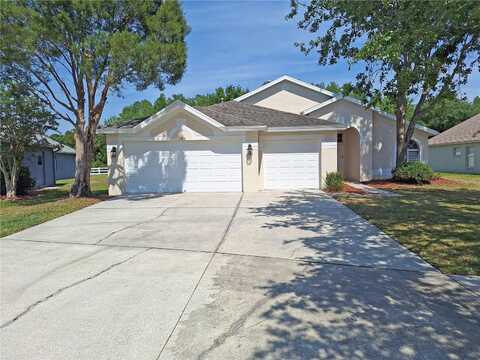 19855 ELLENDALE DRIVE, LAND O LAKES, FL 34638