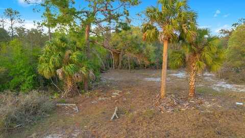 1411 SARASOTA COURT, POINCIANA, FL 34759