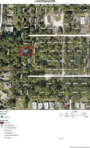 Lots 255 & 256 GOLDEN CIRCLE, MOUNT DORA, FL 32757