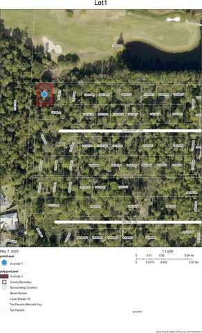 Lot 1 WOODHAVEN CIRCLE, MOUNT DORA, FL 32757