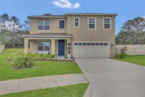 1541 TALI LANE, MOUNT DORA, FL 32757