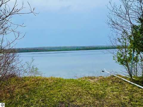 1368 S M-88, Bellaire, MI 49615