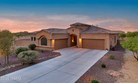 13282 W Finger Aloe Street, Tucson, AZ 85743