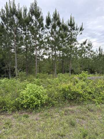 0000 NW Church Road, Altha, FL 32421