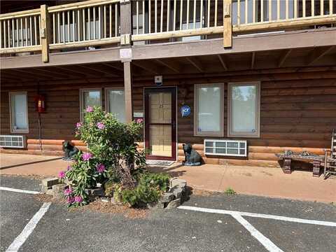 98 CASCADE Trail, Fancy Gap, VA 24328