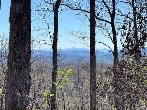 Lot 76 Turkey Pen Drive, MURPHY, NC 28906