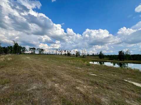 79 Hester Rd, Hazlehurst, GA 31539