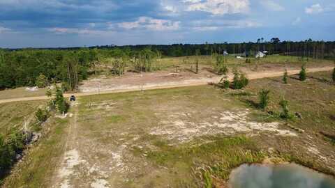 79 Hester Rd, Hazlehurst, GA 31539
