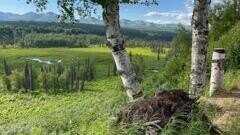 9320 S Cache Crk Drive, Trapper Creek, AK 99683