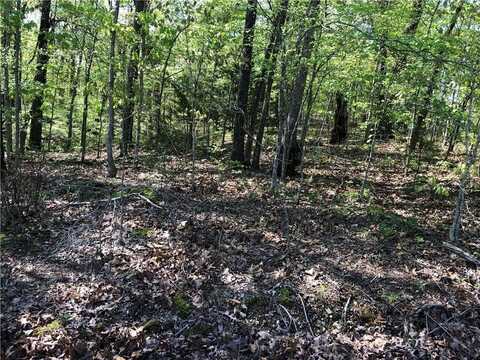 Lot 10 Grampian LN, Bella Vista, AR 72715