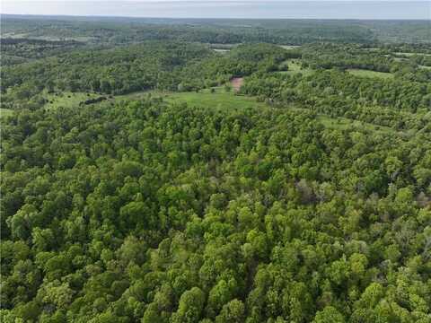 143 Horton RD, Powell, MO 64861