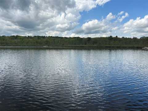 Lake View Drive, Clay, NY 12743