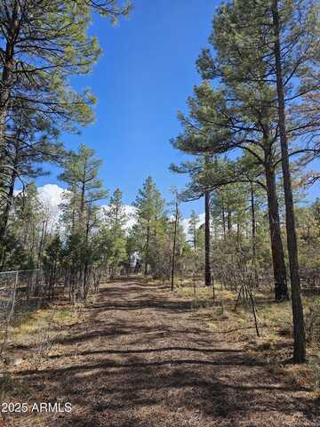 5449 HERD Street, Pinedale, AZ 85934