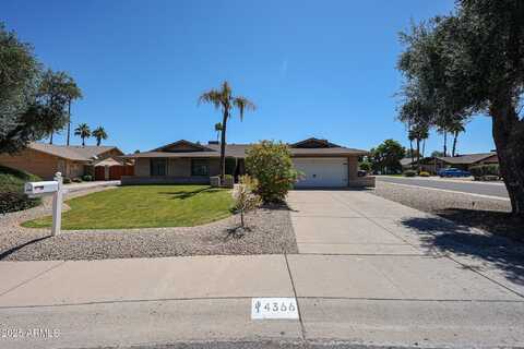 4366 E REDFIELD Road, Phoenix, AZ 85032