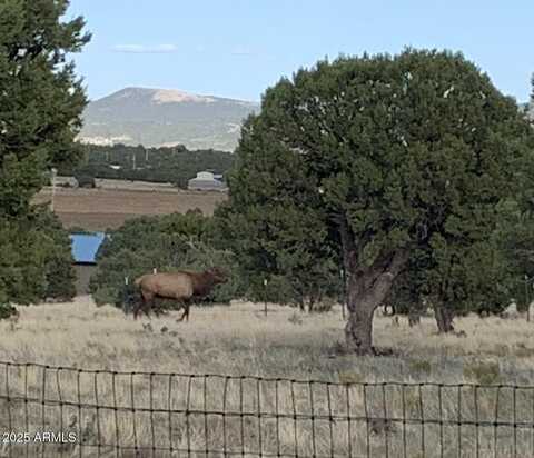 842 VERNON COUNTY Road, Vernon, AZ 85940