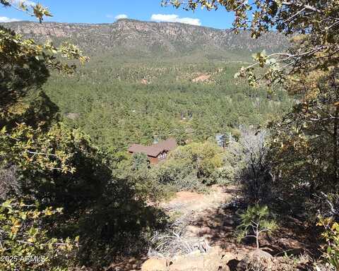 5059 N HILLTOP Drive, Pine, AZ 85544