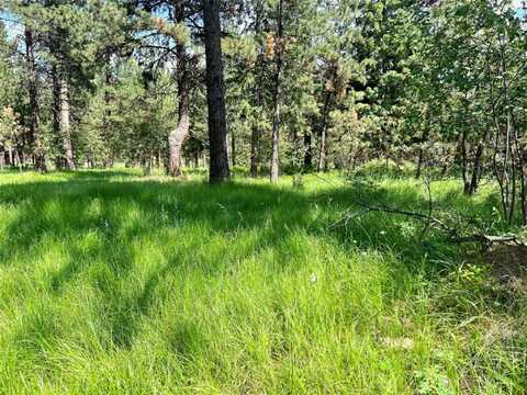Meadow Road lot: 17, Polson, MT 59860