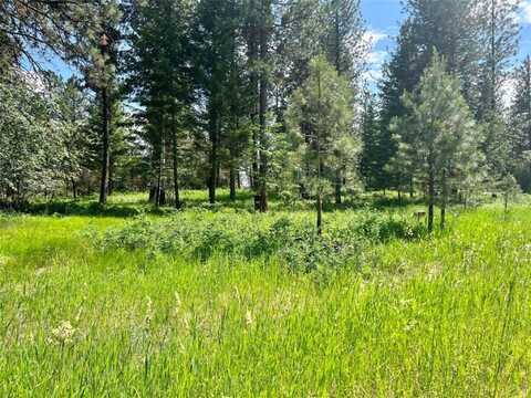 Meadow Road lot: 17, Polson, MT 59860