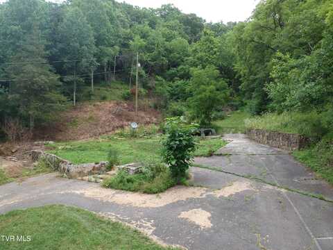 29188 Chestnut Road, Meadowview, VA 24361