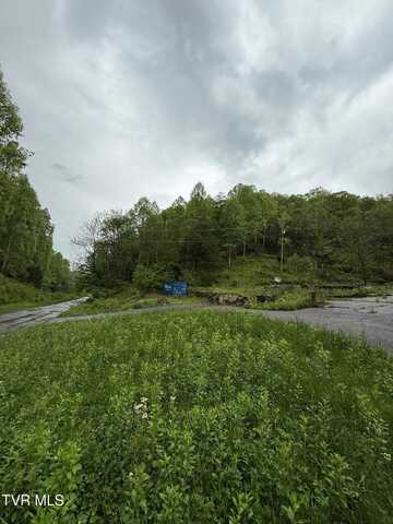 29188 Chestnut Road, Meadowview, VA 24361