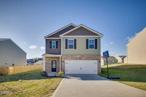 677 Barley Lp, Jonesborough, TN 37659