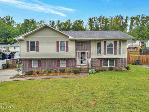 222 Grandview Street, Mount Carmel, TN 37645
